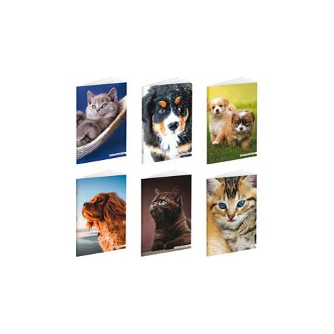 Quaderno  A4 BM  rigatura Rigo 1 RIGO BE MORE BABY 100 GR (CONF. 10 PEZZI)